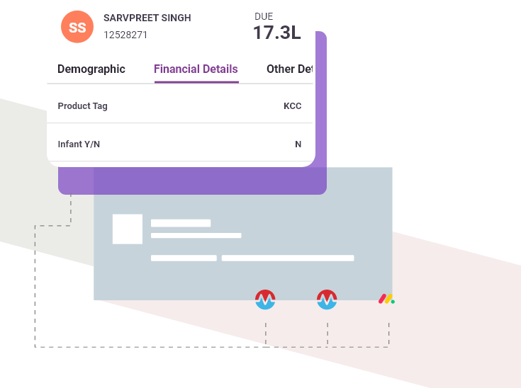 dashboard showing debtor specific metrics like demographic and other details through mcollect